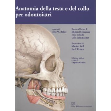 Anatomia della Testa e del Collo per odontoiatri