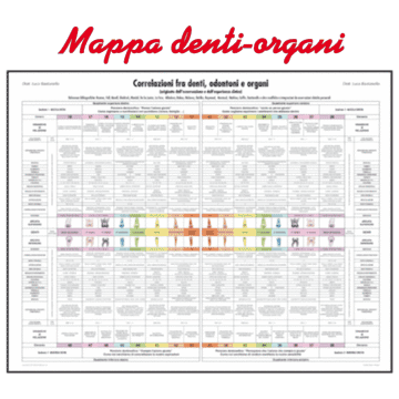 Poster Mappa denti-organi - Correlazioni fra denti e organi